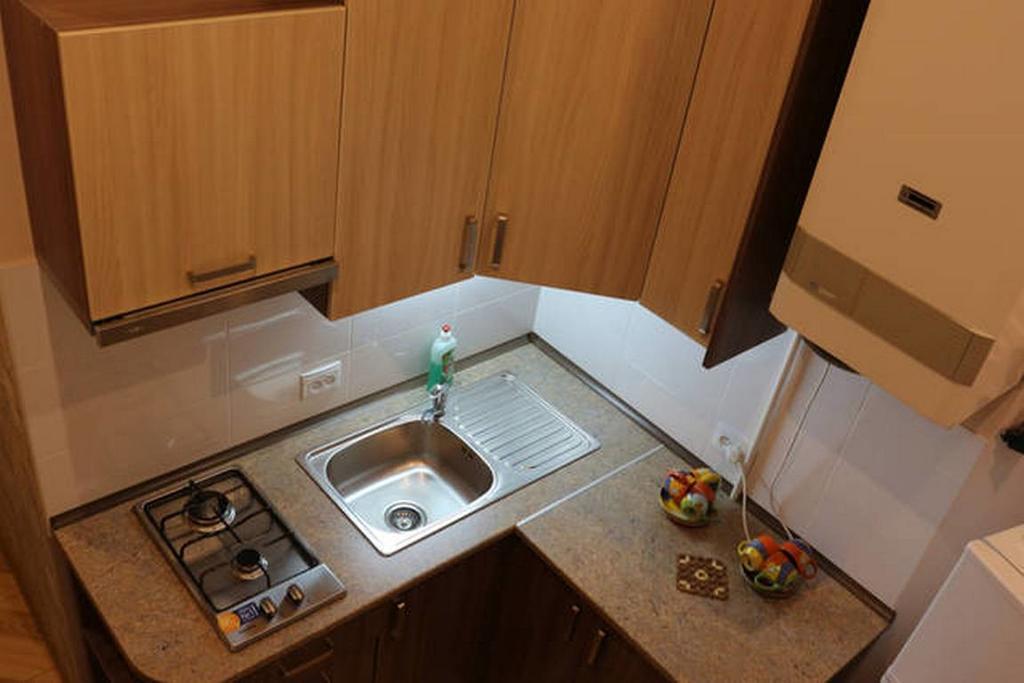 Horodotska 60 Apartman Lviv Kültér fotó
