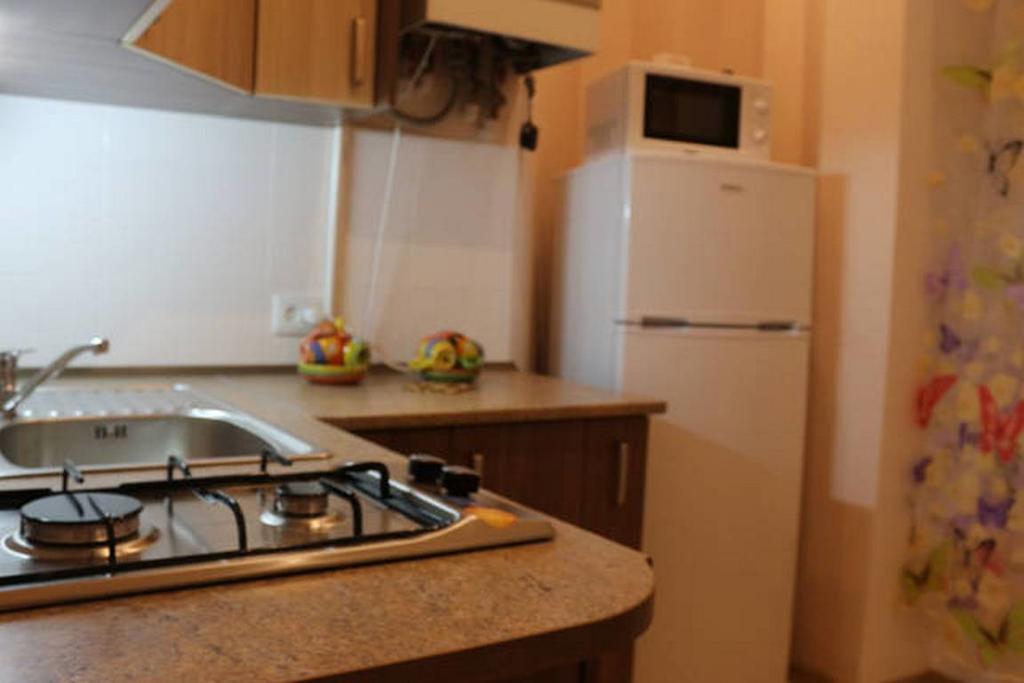 Horodotska 60 Apartman Lviv Kültér fotó